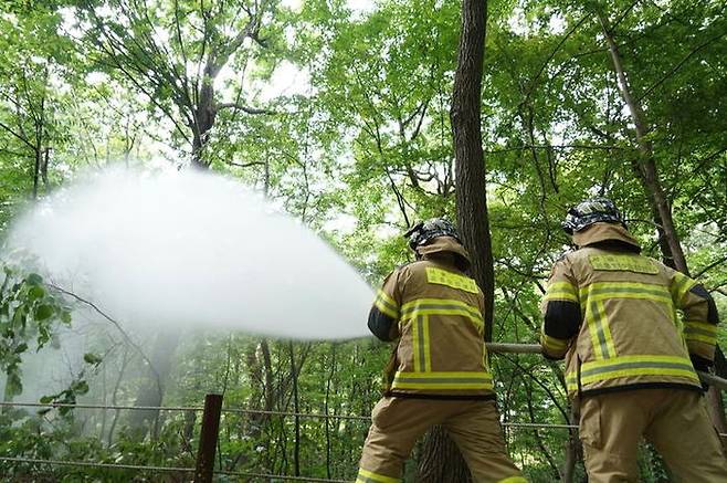 방제현장 사진.ⓒ서울시 제공