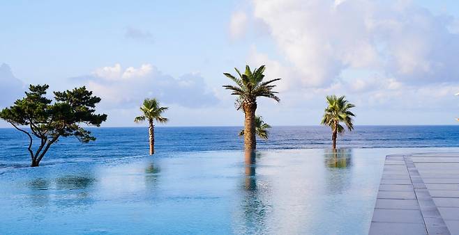 파르나스호텔제주 인피니티풀 ‘에스추어리풀. 파르나스호텔