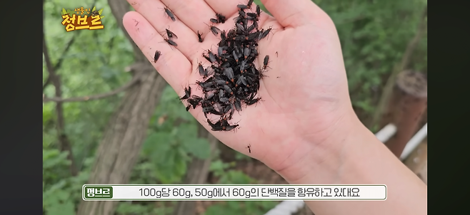 인천과 서울에 떴다는 헬창들이 환장할만한 무료 단백질 보충제