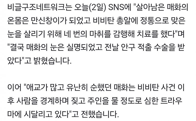 image.png 해병대한테 비비탄 총 맞았던 강아지 근황