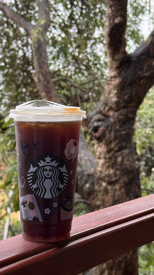 IMG_9084.jpeg 베트남가서 먹기만 하다가 온게 유머 1. (하노이)