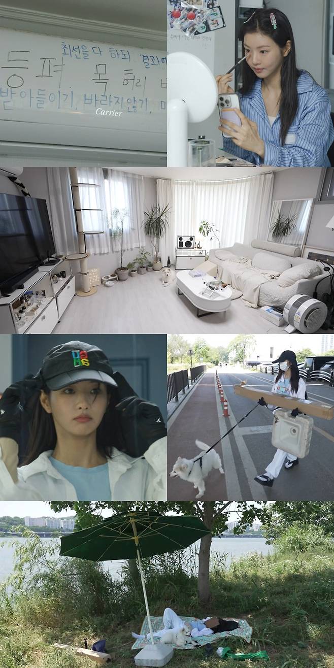 iMBC 연예뉴스 사진