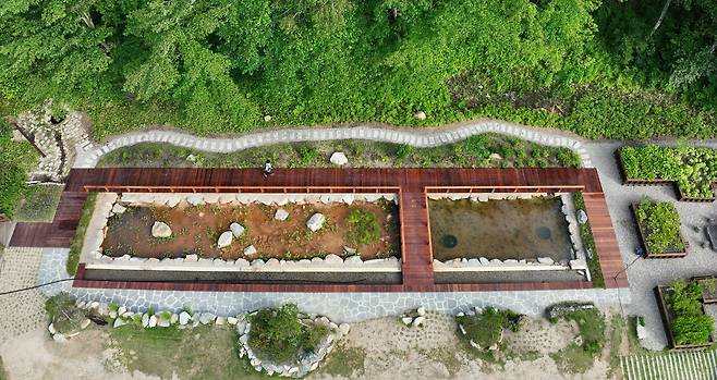 오대산 자락에서 흘러내린 계곡수로 조성된 옹달샘정원에서는 독미나리, 조름나물, 각시수련, 순채 등 다양한 수생식물을 관찰할 수 있다.