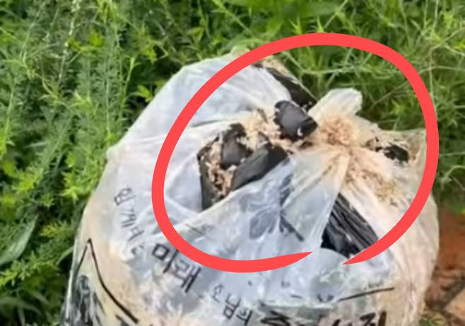 버려진 쓰레기 봉투에 구더기가 들끓고 있다.[X(구 트위터) 갈무리]