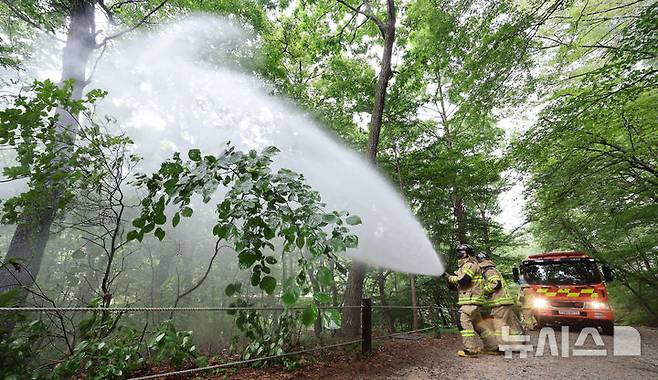 [서울=뉴시스] 권창회 기자 = 3일 서울 노원구 삼육대학교 인근 제명호에서 서울소방 관계자들이 '러브버그(붉은등우단털파리)' 방제작업을 하고 있다. 2025.07.03. kch0523@newsis.com