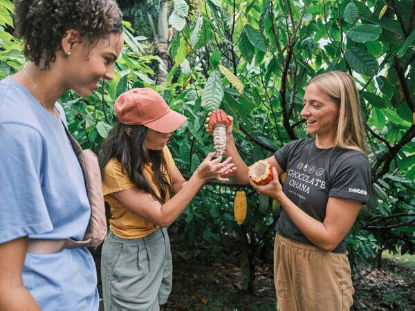 카카오 재배지와 생산 과정을 견학하고, 초콜릿 제조 및 시식까지 함께 가능한 투어 / 하와이관광청