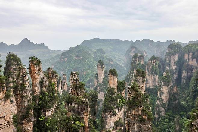 쿵종톈위안 전망대에서 바라본 웅장한 봉우리들 [사진/백승렬 기자]