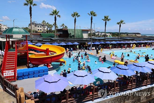 무더위 속 제주 해수풀장 인기 [연합뉴스 자료사진]