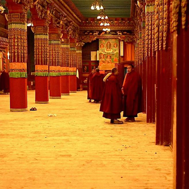 아침 기도 시간의 티베트 승려