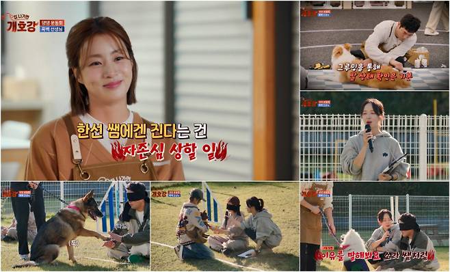 ‘집 나가면 개호강’ 강소라 조한선 불꽃 대결 (사진: JTBC)