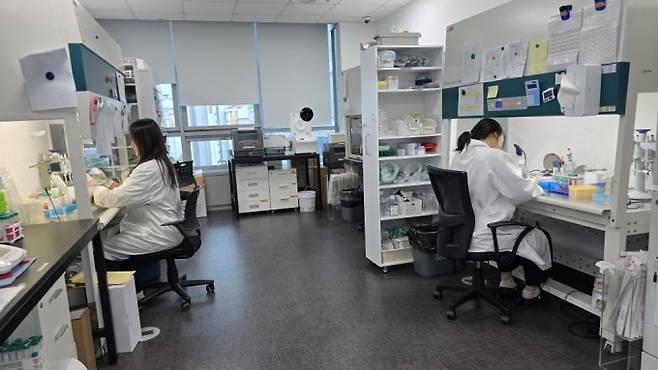 오가노이드사이언스 연구원들이 판교 오가노이드사이언스 연구소에서 세포 배양 실험을 하고 있다. 문세영 기자.