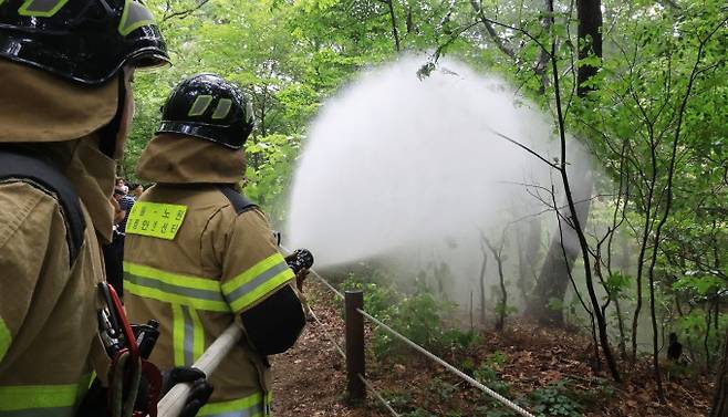 3일 서울 노원구 공릉동 삼육대학교에서 소방대원들이 물을 뿌리며 러브버그 현장 방제활동을 하고 있다. 관계자는 러브버그 퇴치는 날개가 약한 개체의 특성으로 나뭇잎 아래쪽에 살수하는 것으로 충분하다고 전했다. 연합뉴스 제공