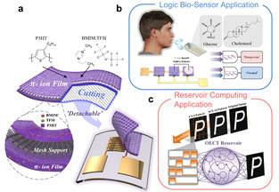 (a)제안 소자의 소자 구조도 및 분리할 수 있는 유기 전해질 반도체 교체 개략도  (b)바이오 센서에 응용한 고혈압 감지 회로 개략도 (c)소자의 시냅스 특성을 활용한 레버저 컴퓨팅 응용