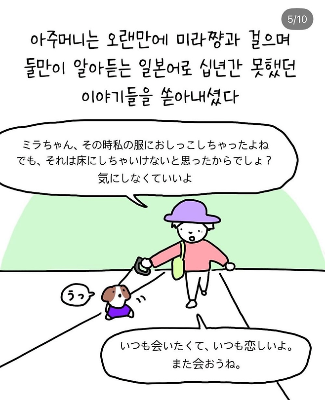 image.png 반려견 산책중 만난 아줌마 반려견 산책중 만난 아줌마 .jpg