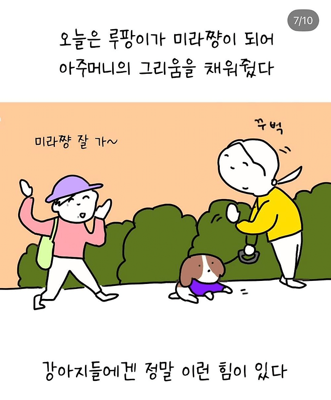 image.png 반려견 산책중 만난 아줌마 반려견 산책중 만난 아줌마 .jpg