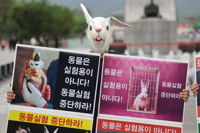 지난달 10일 한국동물보호연합 회원들이 서울 종로구 광화문광장에서 동물실험 중단 촉구 기자회견을 하고 있다. 농림축산검역본부에 따르면 지난해 한 해 460여만 마리가 동물실험에 사용됐으며 10년 전 250만 마리였던 것과 비교해 200만 마리 이상이 늘어났다. 뉴시스