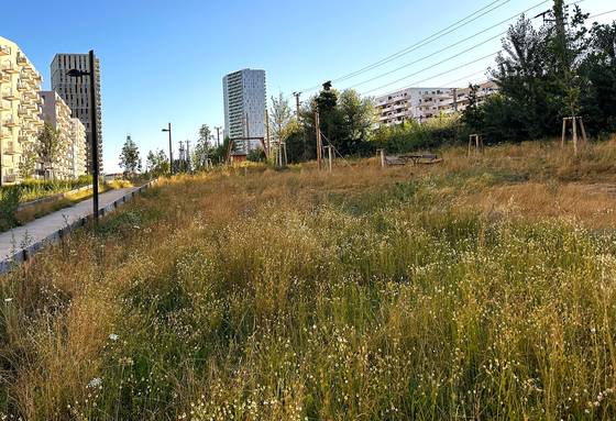 비엔나 노르트반호프 임대주택은 10㏊(3만250평) 크기의 공원에 둘러싸여 있다. 비엔나(오스트리아)=문희철 기자