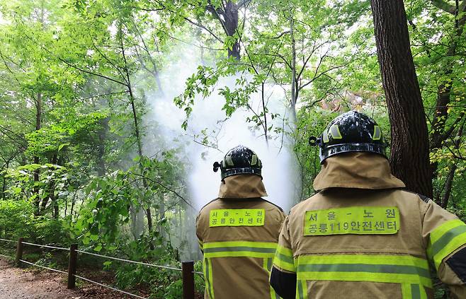 Firefighters spray water in Samyuk University in Nowon-gu, Seoul, on Thursday to contain the spread of lovebugs. Firefighters say spraying water is enough, as lovebugs have weak wings. (Yonhap)