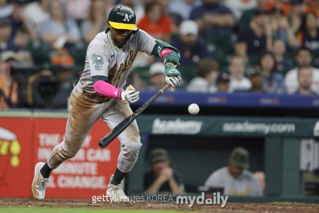 에스테우리 루이즈/게티이미지코리아