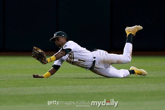 에스테우리 루이즈/게티이미지코리아