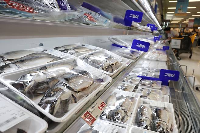 기후변화로 인한 고수온 영향으로 고등어와 조기, 오징어 등 수산물 가격이 큰 폭으로 오른 가운데 3일 서울의 한 대형 마트에 고등어가 진열돼 있다.[연합]