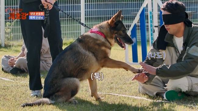 사진=JTBC ‘집 나가면 개호강’