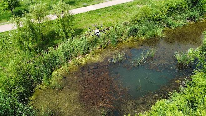 [화성=뉴시스] 경기 화성시가 동탄 너른공원 일대에서 드론을 활용한 모기 유충 방제 작업을 하고 있다. (사진=화성시 제공) 2025.07.04. photo@newsis.com *재판매 및 DB 금지