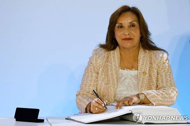 디나 볼루아르테 페루 대통령 [AFP 연합뉴스 자료사진. 재판매 및 DB 금지]