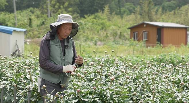 다큐 '귀한 집' 장면 [목포MBC 제공·재판매 및 DB 금지]
