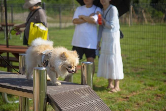 안성맞춤랜드 같이파크 [경기관광공사 제공. 재판매 및 DB 금지]
