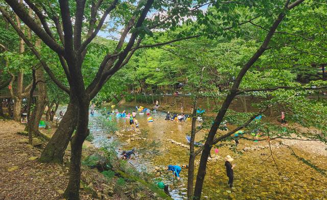 고산자연휴양림. /투어전북 제공