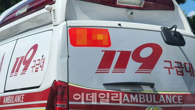 (사진=이데일리DB)