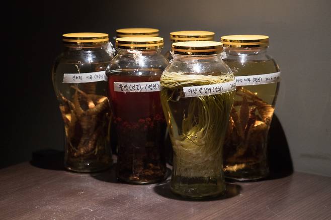 Chef Cho Young-jae’s infused liquors at Jjan—crafted with ingredients like deodeok, sancho, and hardy kiwi to complement the flow of each course. /Ko Un-ho