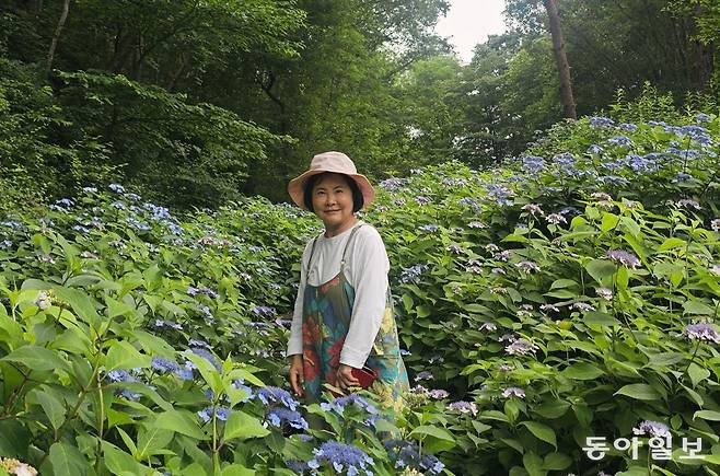 경기 가평군에서 15년째 수국 동산을 가꾼 정구선 건교산업 대표. 가평=김선미 기자 kimsunmi@donga.com
