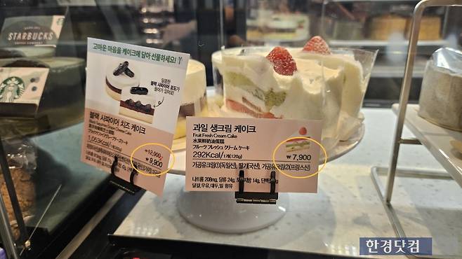 스타벅스 케이크/사진=유지희 기자