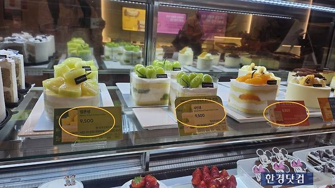 투썸플레이스 신제품 케이크/사진=유지희 기자