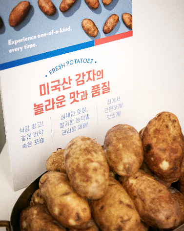 미국 감자 [미국감자협회 제공]
