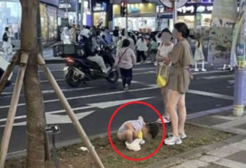 사진= 서경덕 성신여대 교수