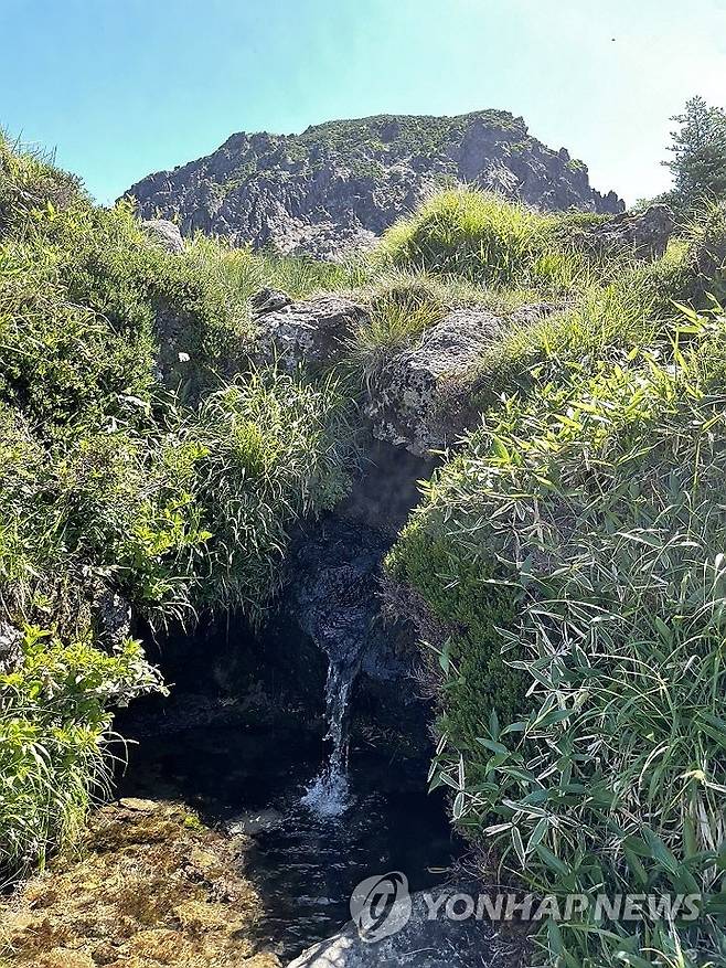 한라산 백록샘 (제주=연합뉴스) 백나용 기자 = 5일 오전 한라산에서 진행된 구상나무 대표목 제주도는 국가유산청과 함께 제주 국가유산 방문의 해를 기념해 7일부터 오는 24일까지 사전 신청자에 한해 국내 최고 높이 샘인 한라산 '백록샘'을 민간에 공개한다고 5일 밝혔다. 사진은 프로그램 시작에 앞서 5일 이뤄진 전문가·언론 대상 백록샘 공개 행사. 2025.7.5 dragon.me@yna.co.kr