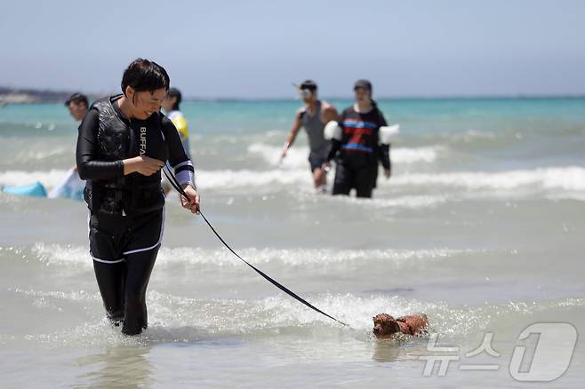 전국에 폭염특보가 발효된 6일 오후 제주시 함덕해수욕장 내 반려견 동반 해변인 '함도그비치'에서 반려인들이 반려견과 함께 물놀이를 하고 있다.2025.7.6/뉴스1 ⓒ News1 고동명 기자
