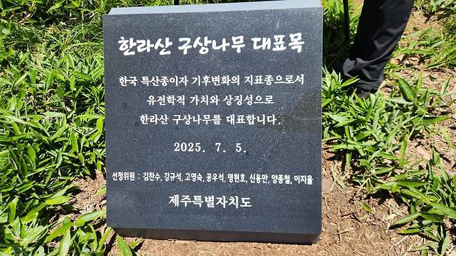 구상나무 대표목 앞에 설치된 표지석 (사진, 신동원 기자)