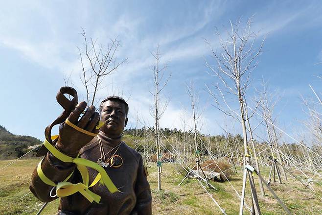 전남 진도군 세월호 기억의 숲에 있는 고(故) 김관홍 잠수사의 동상 ⓒ연합뉴스
