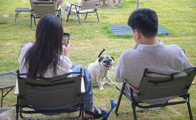 ▲ 남양주 복합레저 명소 '더드림핑' 공간. /사진제공=경기관광공사
