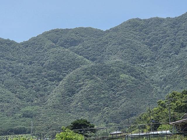 선덕여왕이 예언해 백제군사를 잡은 여근곡.