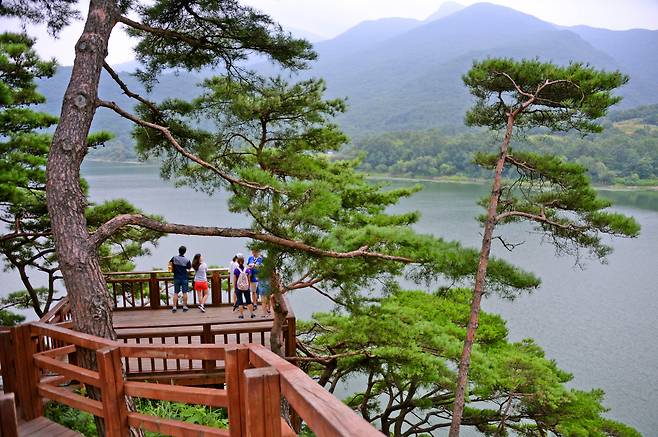 ◇산막이옛길은 따라 �x쳐지는 산과 물, 숲이 어우러지는 아름다움은 괴산의 백미 중 하나다. 사진제공=지엔씨21