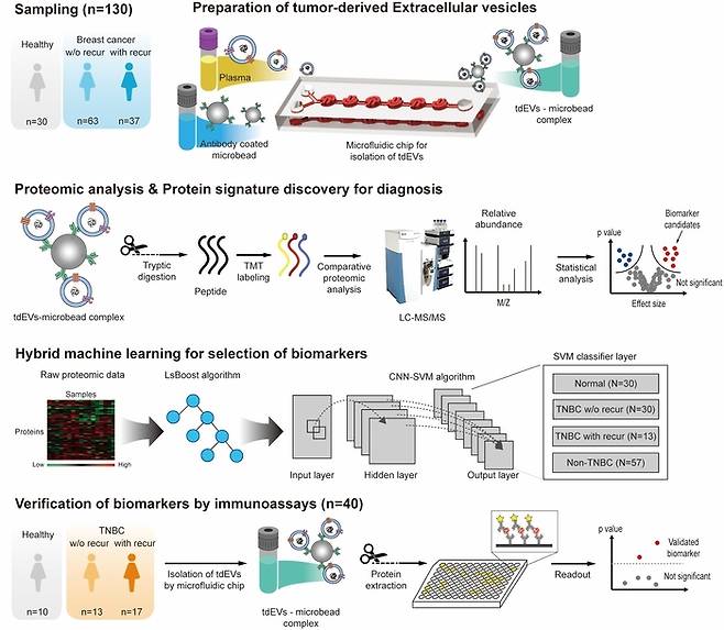 미세유체 칩 활용 TNBC(TNBC)의 재발 조기 예측 진단 기술