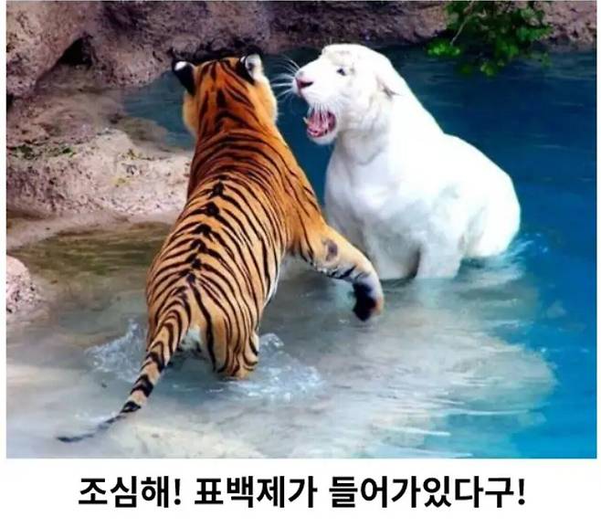 Screenshot_20250707_160851_YouTube.jpg 오랜만에 보는 제목학원