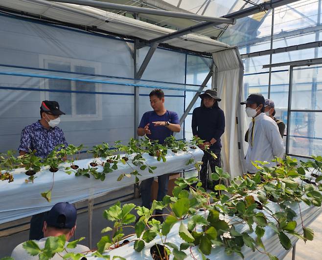 해남군은 선도농가 현장실습 등 실전 프로그램을 운영해 농사 정보 제공뿐만 아니라 실제 농촌 생활을 체험하고 지역사회와 소통할 수 있도록 돕고 있으며, 이는 초보 귀농인의 불안감 해소와 조기 적응에 큰 효과를 발휘하고 있다. /해남군