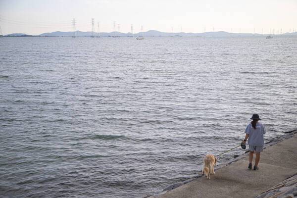 시흥거북섬. 경기관광공사 제공