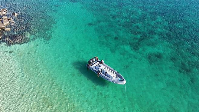 댐피어 군도 야생 동물 및 섬 투어
